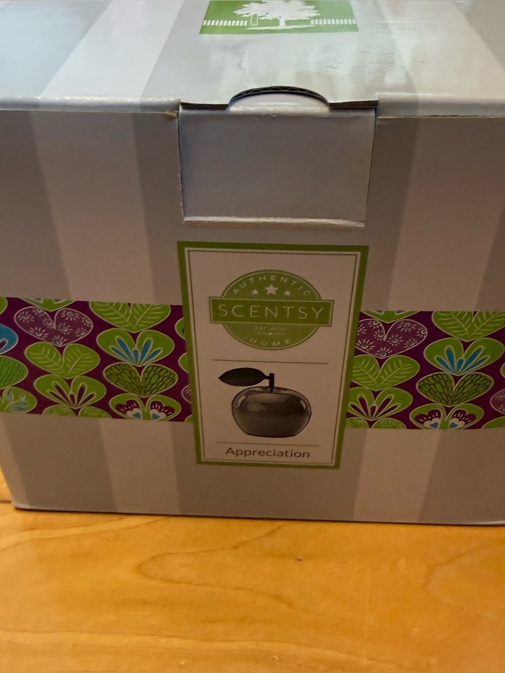 Scentsy Decorative Box with White, Green and Purple Accents